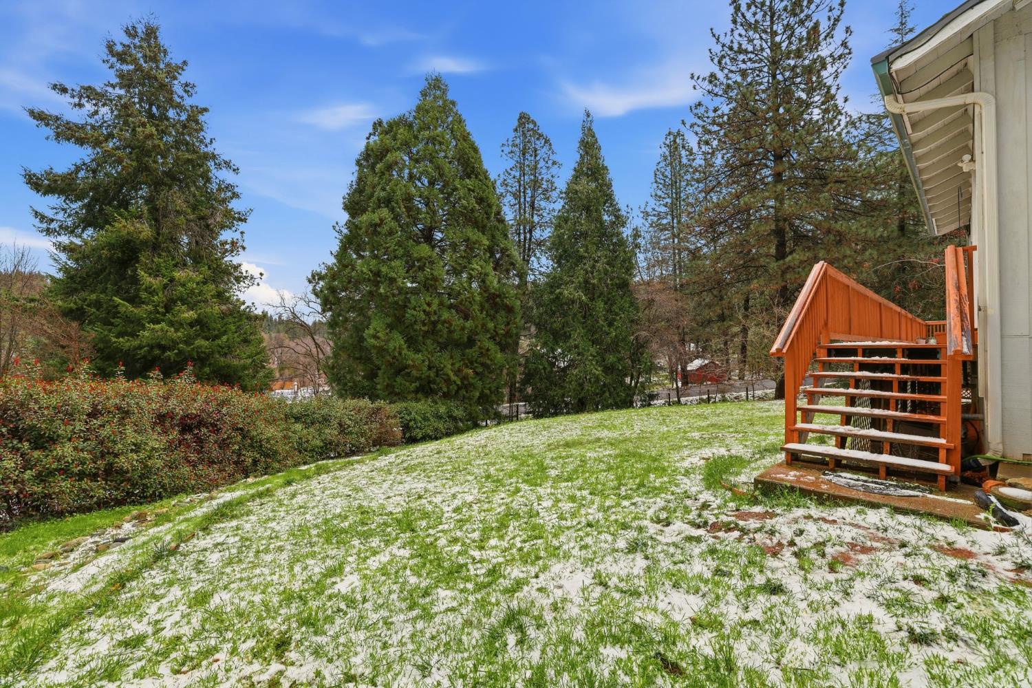 11002 Ball Road Grass Valley, CA 95949 - Photo 24 of 34 a backyard of a house with lots of green space