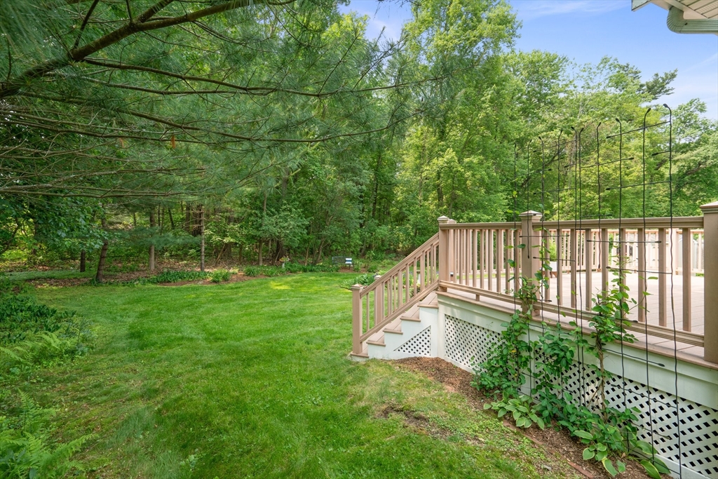 88 Chickering Road Dedham, MA 02026 - Photo 33 of 42