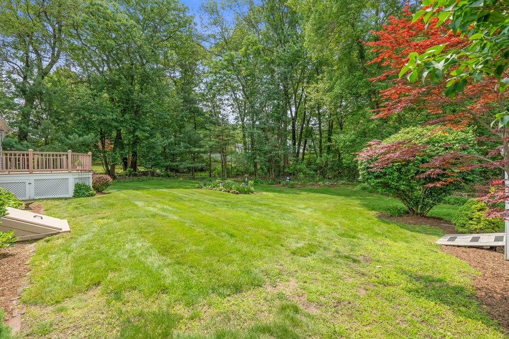 88 Chickering Road Dedham, MA 02026 - Photo 39 of 42