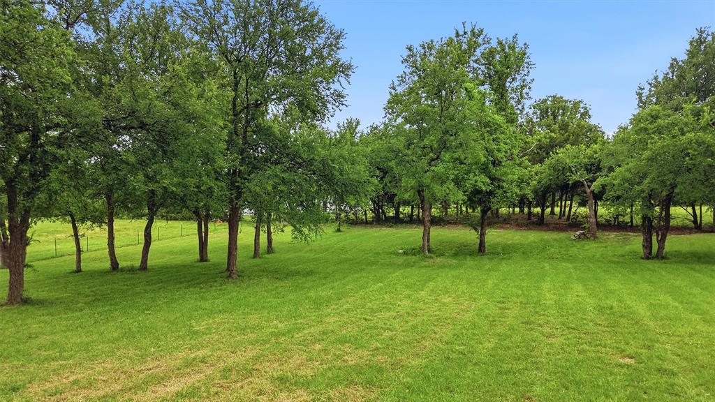 2700 Randell Lake Road Denison, TX 75020 - Photo 15 of 39 Beautiful shaded, fenced yard.