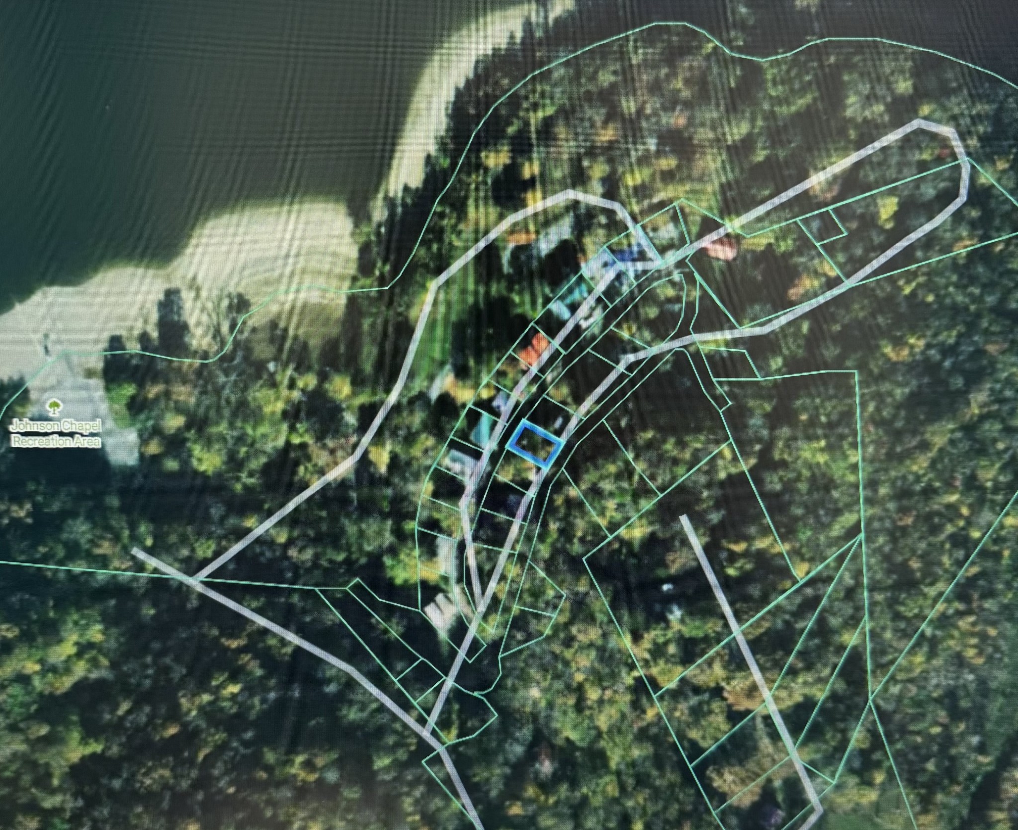 a picture of a plant