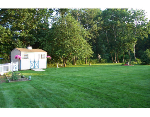 29 Vann Street Springfield, MA 01119 - Photo 2 of 13 a backyard of a house with plants and large trees