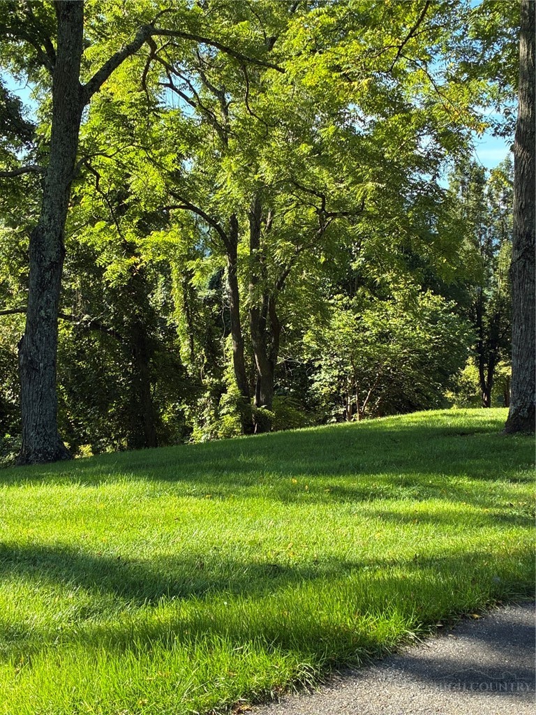 Buckeye Ridge Run Sparta, NC 28675 - Photo 2 of 2 Gallery Image 2