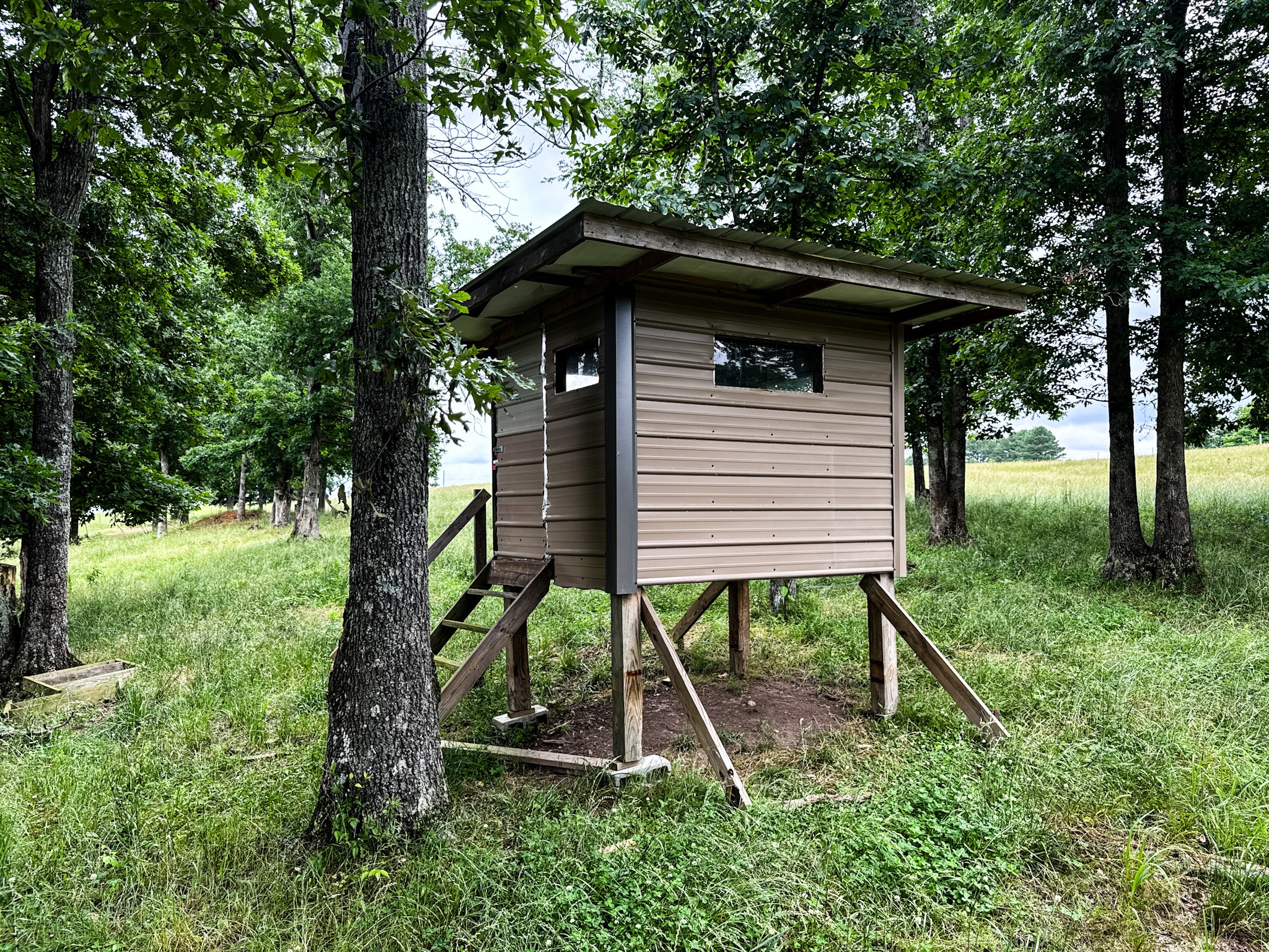 1198 David Patterson Road Lutts, TN 38471 - Photo 49 of 82 a view of a small house with a yard plants and large tree