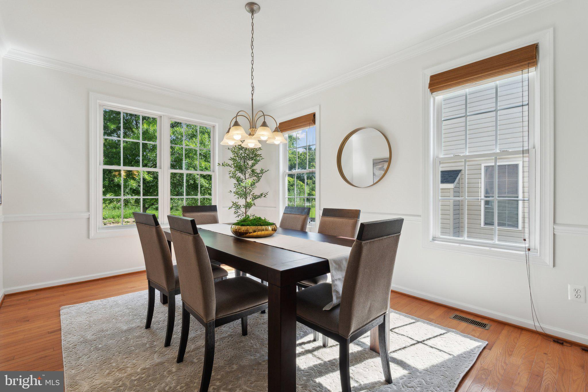 42322 Rising Moon Place Brambleton, VA 20148 - Photo 7 of 77 Gallery Image 7