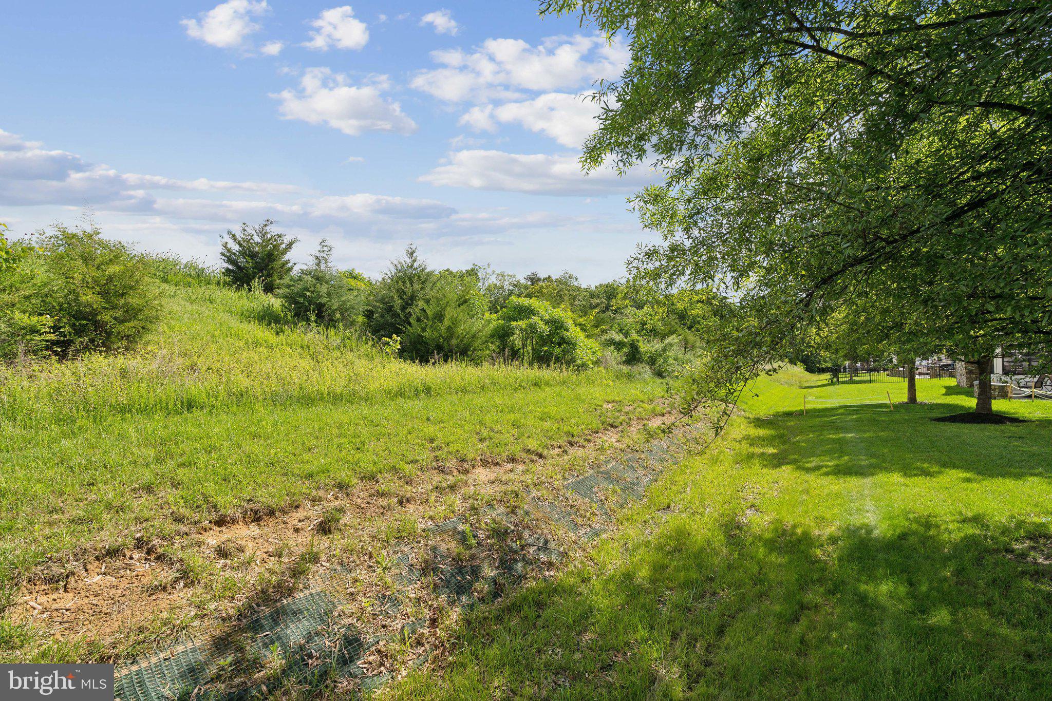42322 Rising Moon Place Brambleton, VA 20148 - Photo 77 of 77 Gallery Image 77