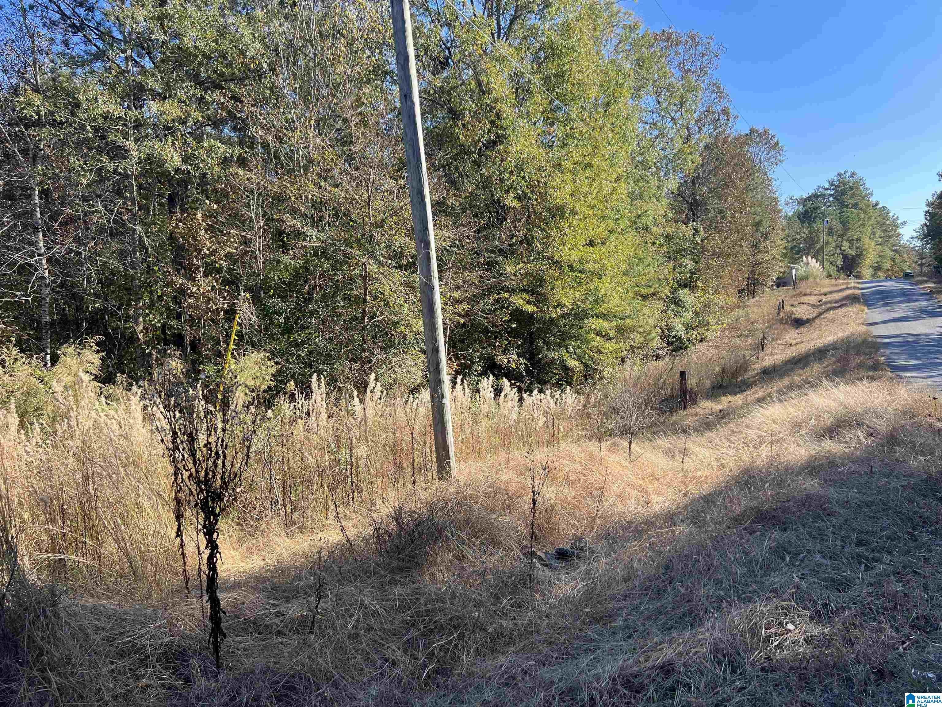 695 Brown Road, Unit 10 ACERS Sylacauga, AL 35150 - Photo 2 of 3