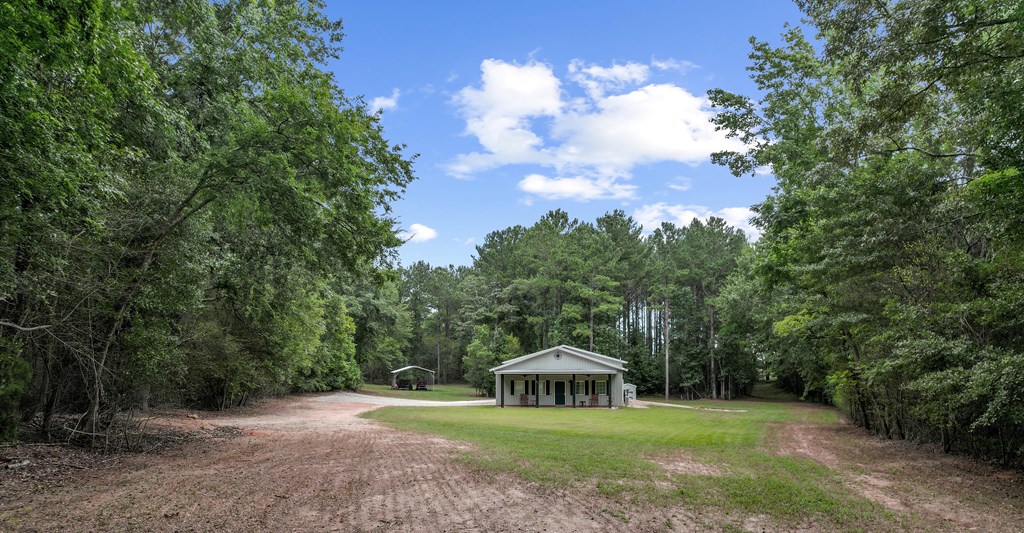 401 Macedonia Road Hartford, AL 36344 - Photo 50 of 61
