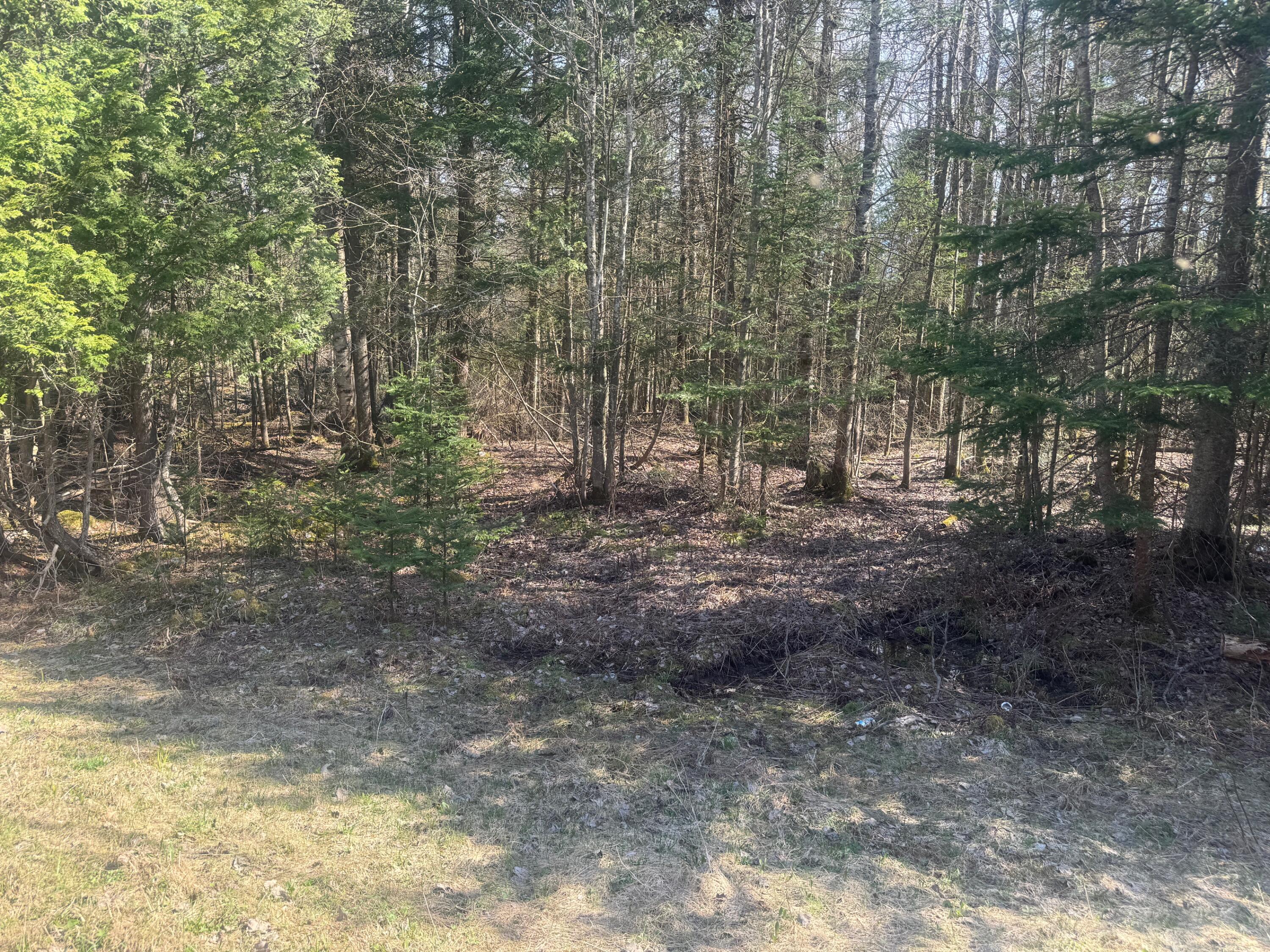 0 Akey Road Morrisonville, NY 12962 - Photo 3 of 3