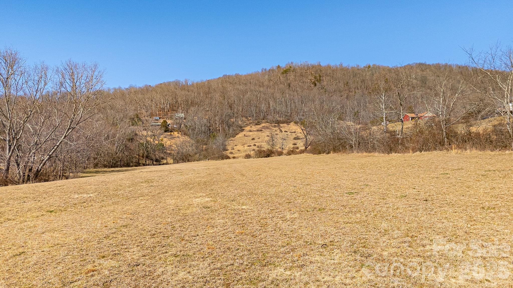 99999 Green Valley Road Leicester, NC 28748 - Photo 16 of 21 a view of mountain view