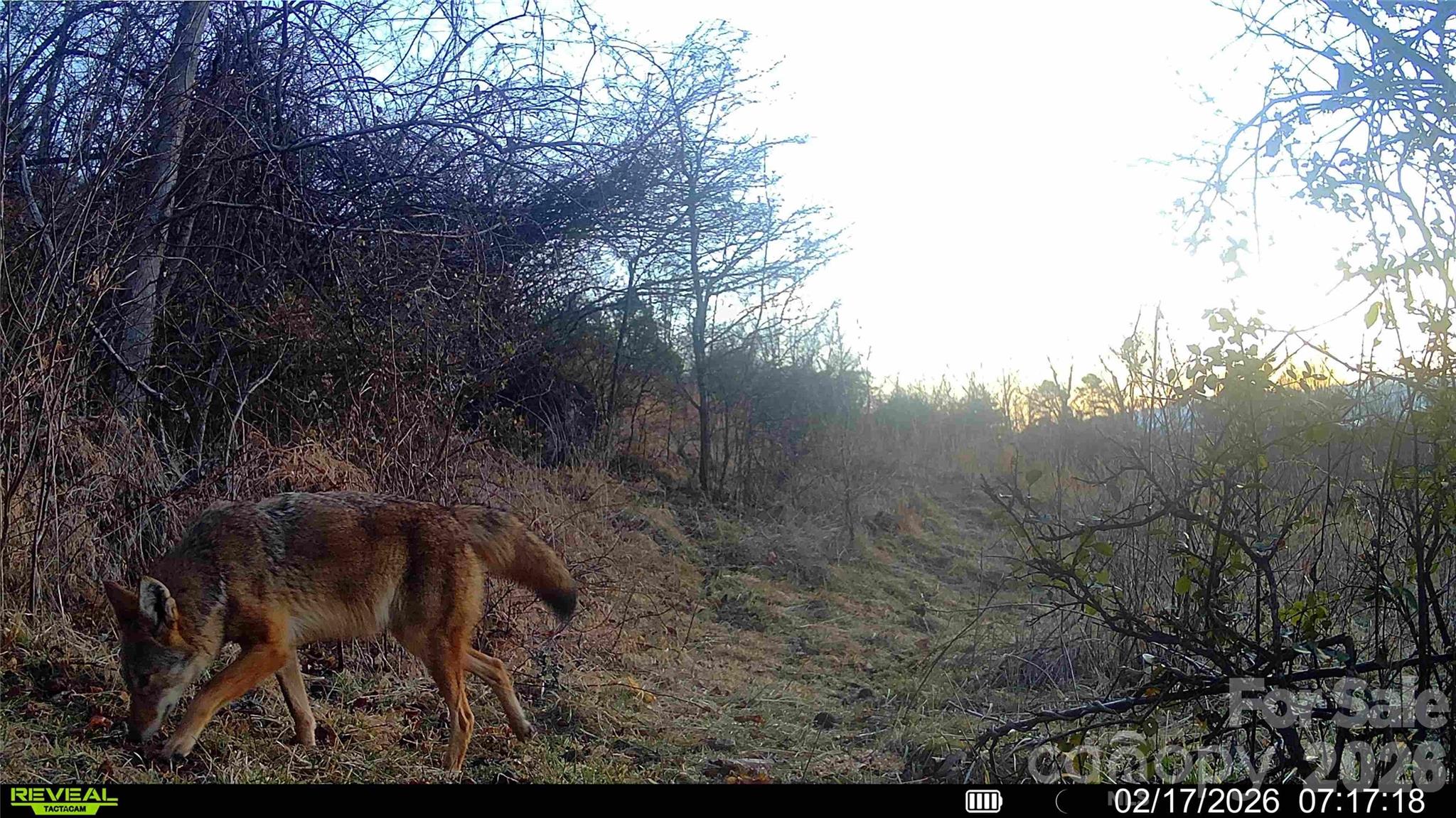 99999 Green Valley Road Leicester, NC 28748 - Photo 21 of 21