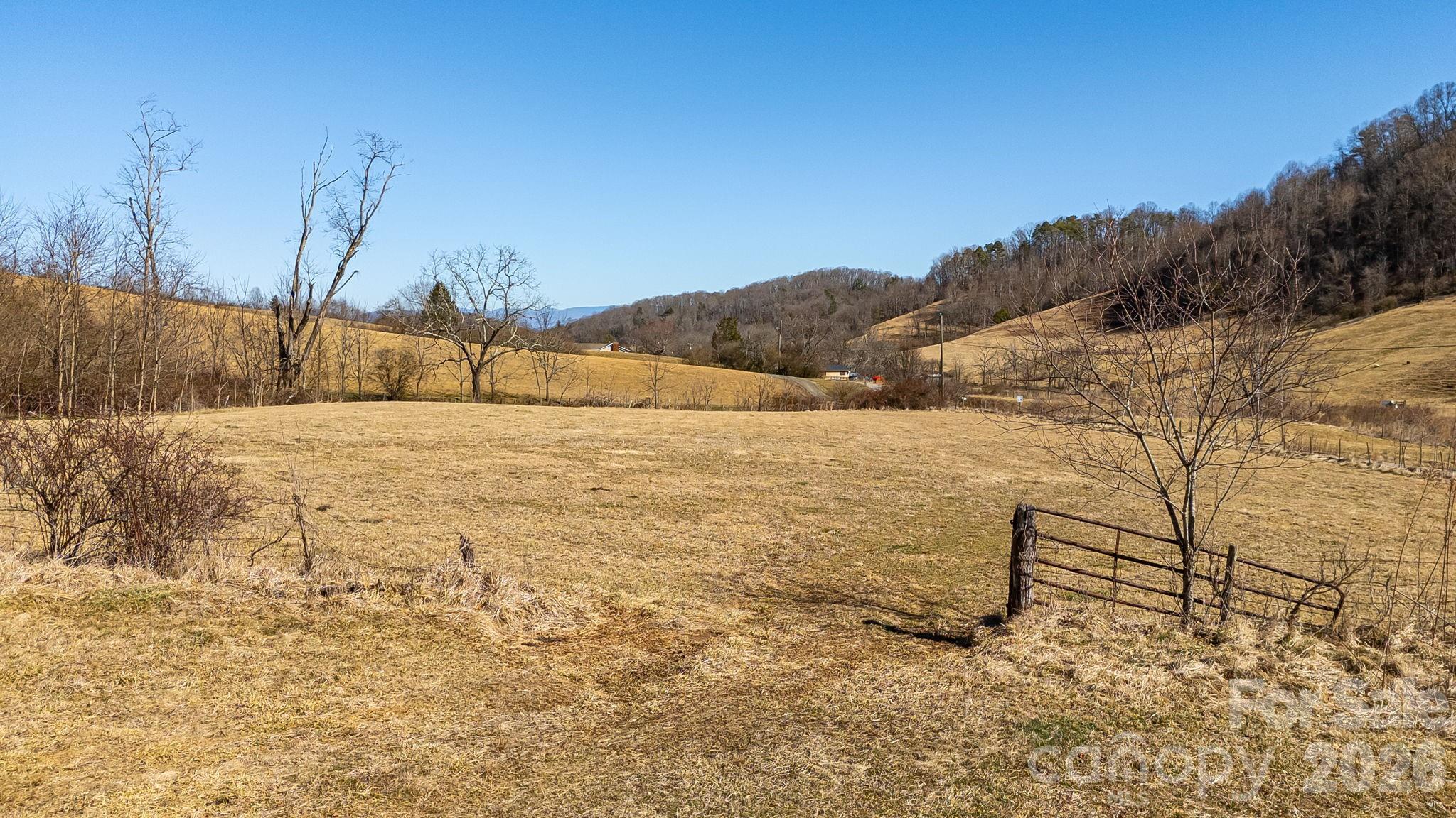 99999 Green Valley Road Leicester, NC 28748 - Photo 7 of 21 a view of a yard with a tree
