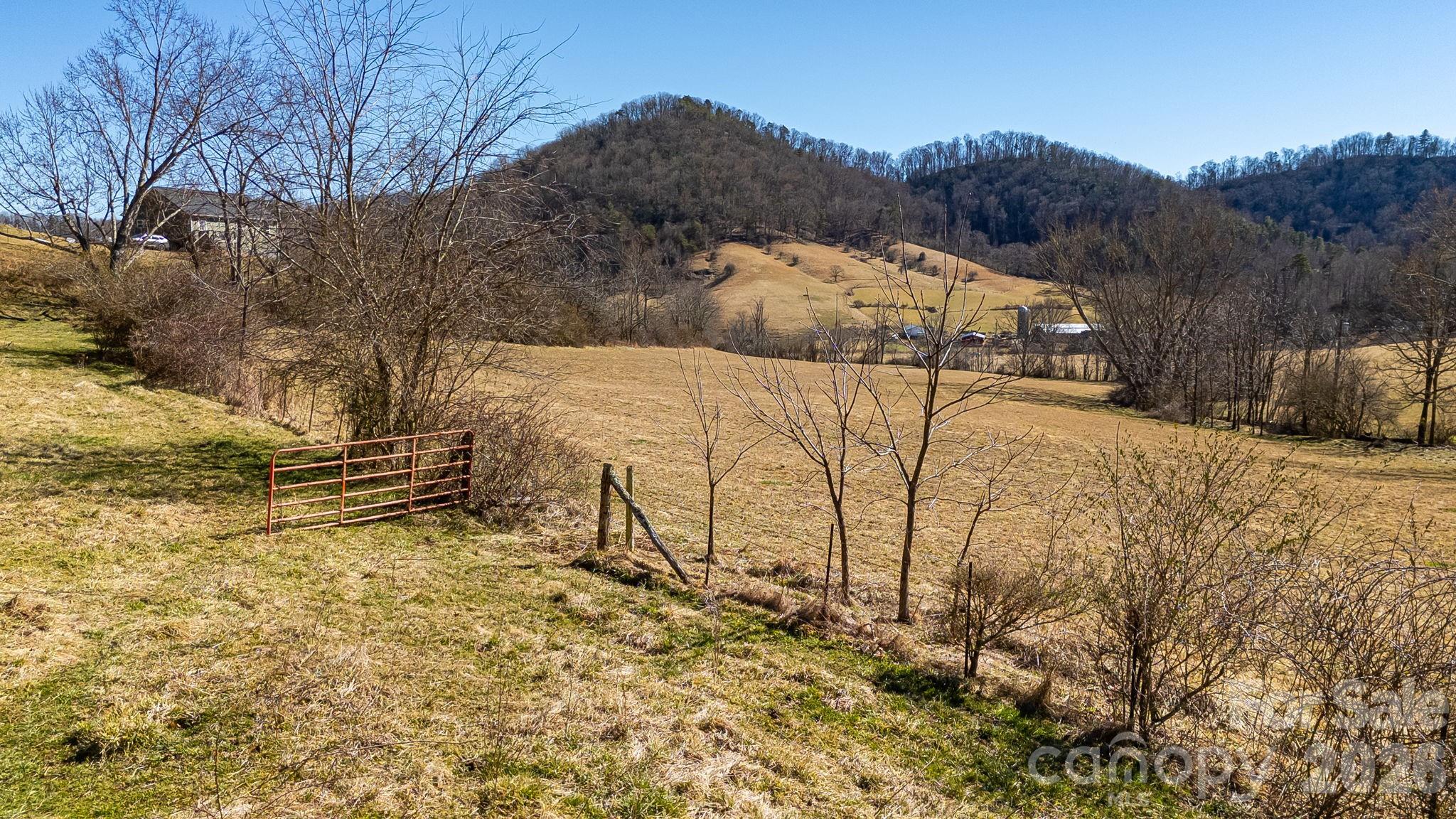 99999 Green Valley Road Leicester, NC 28748 - Photo 8 of 21 a view of a yard with wooden fence