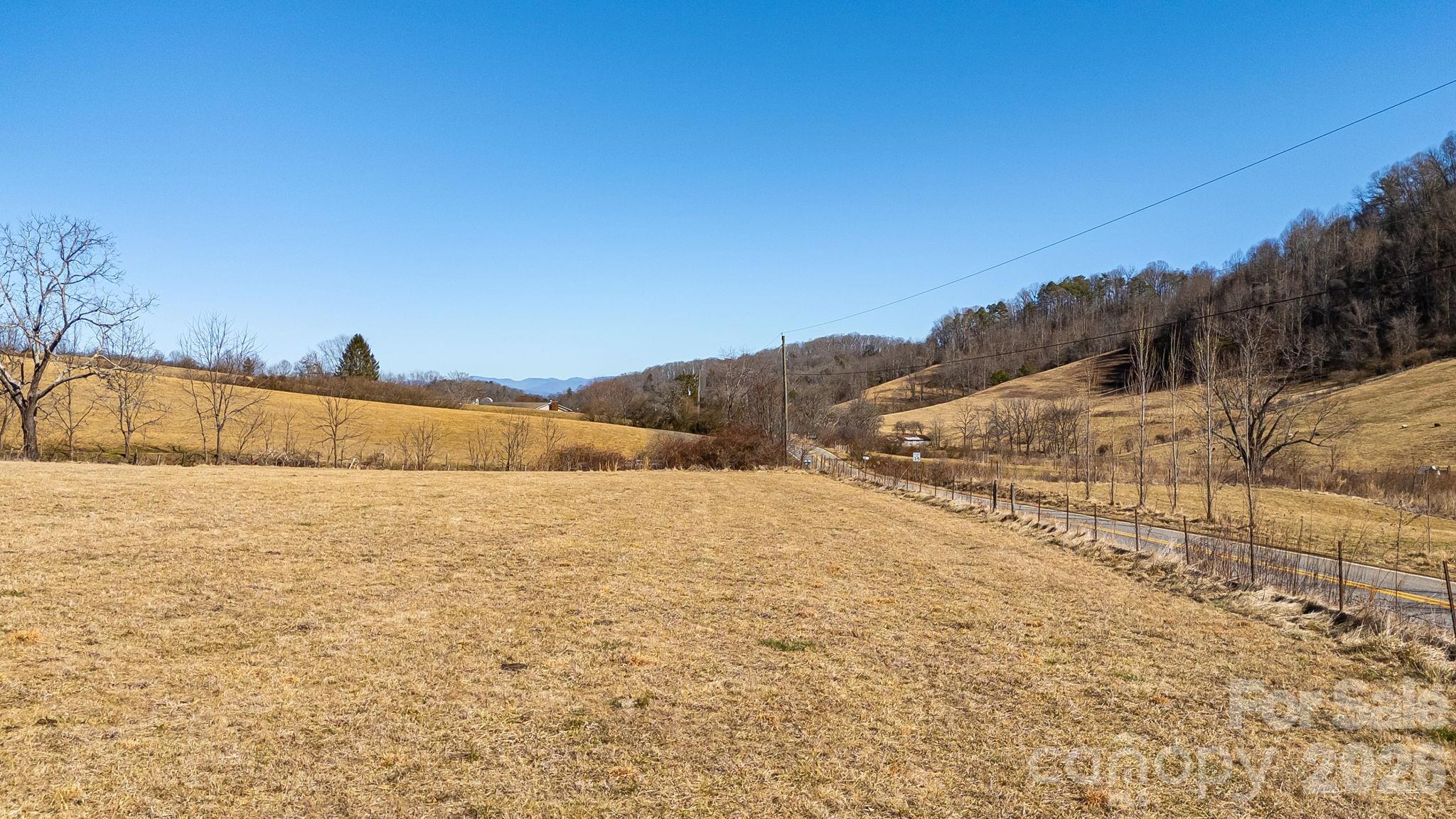 99999 Green Valley Road Leicester, NC 28748 - Photo 9 of 21 a view of an outdoor space and mountains