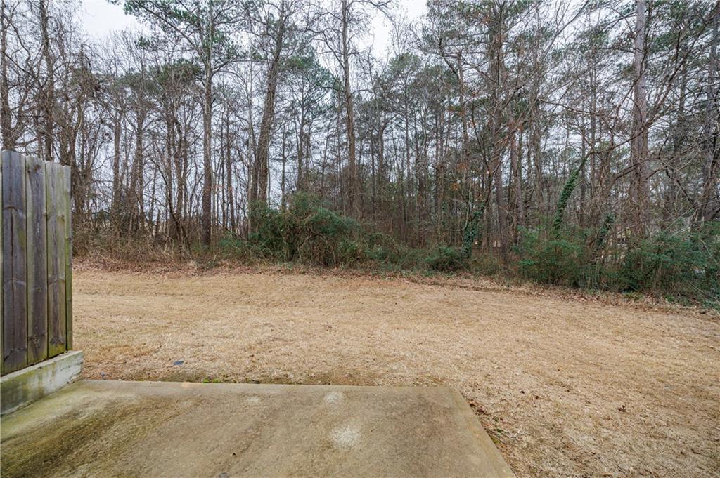 3413 Endurance Court Atlanta, GA 30349 - Photo 6 of 44 a view of outdoor space and yard
