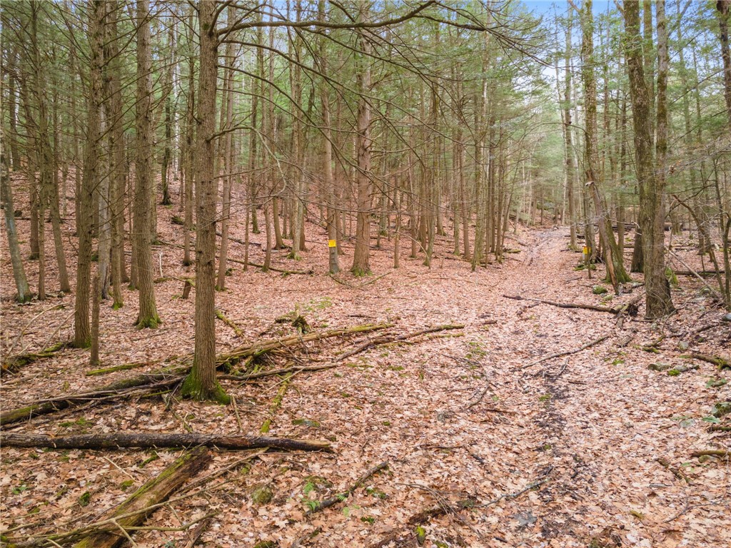 258 Engle Road Schoharie, NY 12157 - Photo 4 of 23 Gallery Image 4