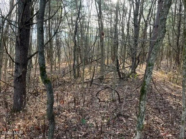 $89,900 | L10 County Route 51, West Coxsackie, NY 12192