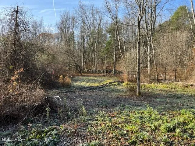 $89,900 | L10 County Route 51, West Coxsackie, NY 12192