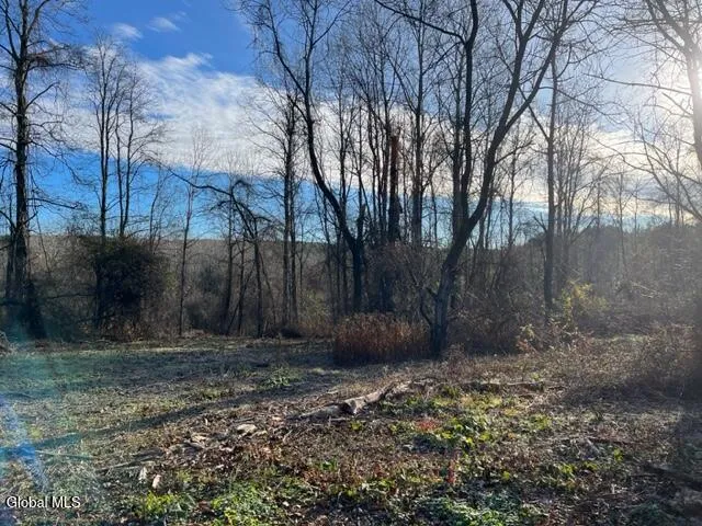 $89,900 | L10 County Route 51, West Coxsackie, NY 12192