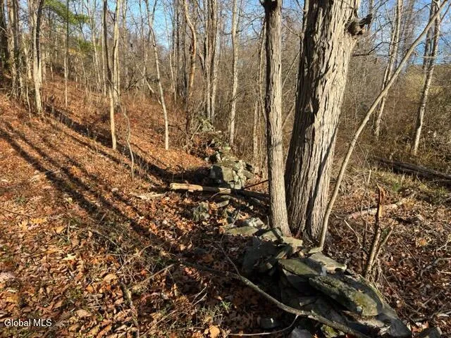 $89,900 | L10 County Route 51, West Coxsackie, NY 12192