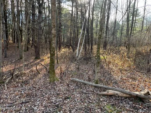 $89,900 | L10 County Route 51, West Coxsackie, NY 12192