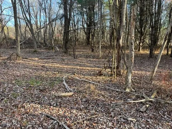 $84,900 | L10 County Route 51, West Coxsackie, NY 12192