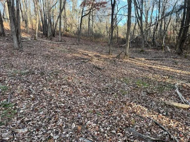 $89,900 | L10 County Route 51, West Coxsackie, NY 12192