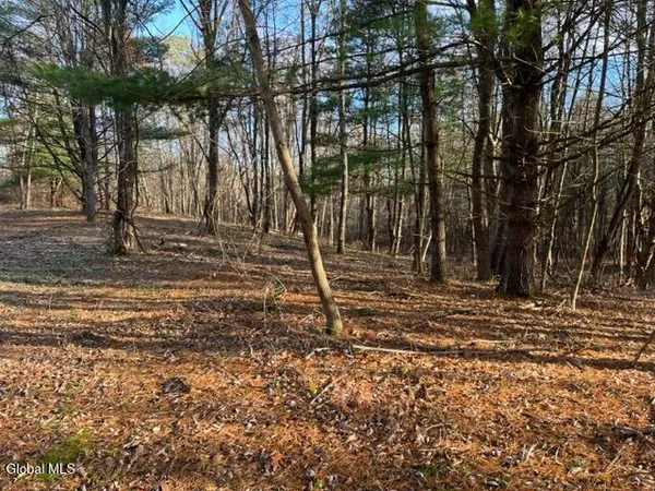 $84,900 | L10 County Route 51, West Coxsackie, NY 12192