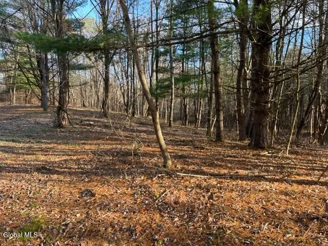 $89,900 | L10 County Route 51, West Coxsackie, NY 12192