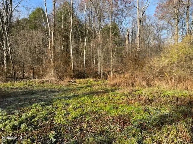 $89,900 | L10 County Route 51, West Coxsackie, NY 12192