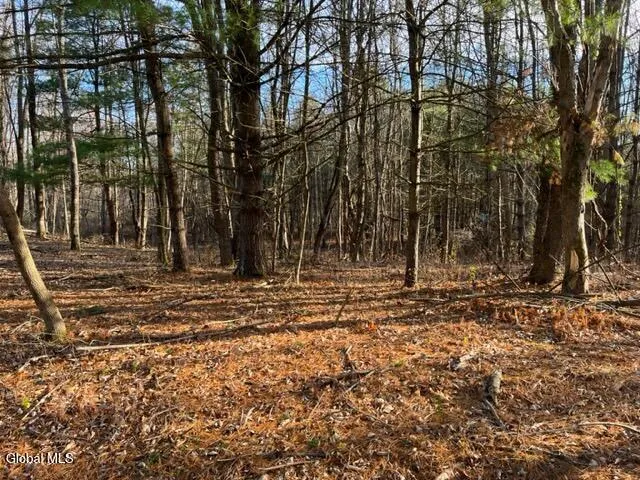 $89,900 | L10 County Route 51, West Coxsackie, NY 12192