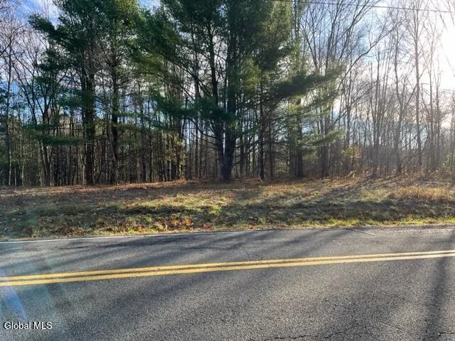 $89,900 | L10 County Route 51, West Coxsackie, NY 12192