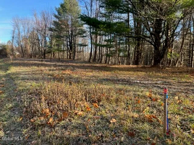 $89,900 | L10 County Route 51, West Coxsackie, NY 12192