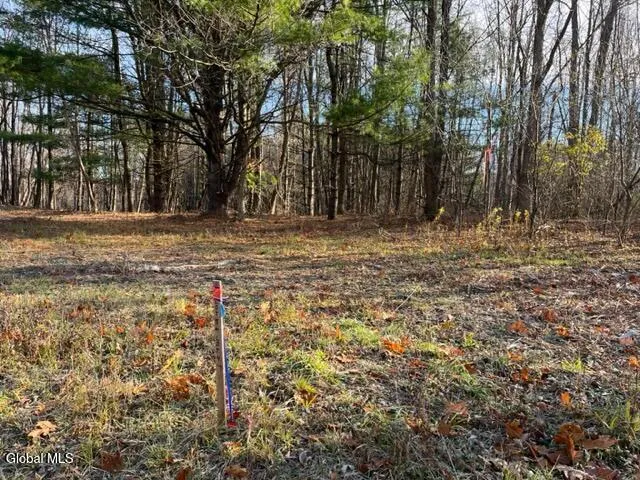 $89,900 | L10 County Route 51, West Coxsackie, NY 12192