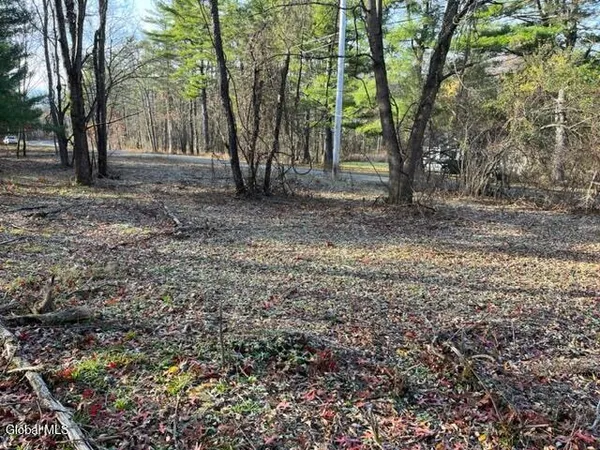 $84,900 | L10 County Route 51, West Coxsackie, NY 12192