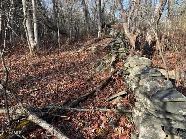 $84,900 | L10 County Route 51, West Coxsackie, NY 12192