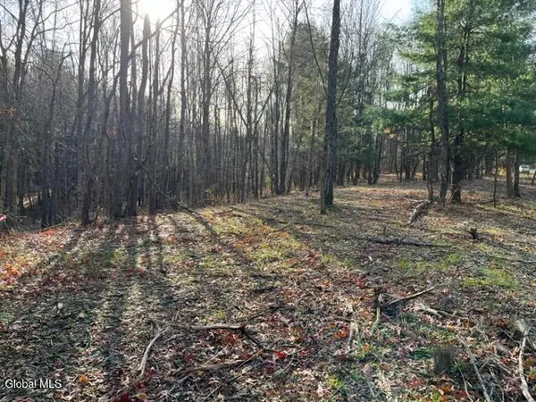 $84,900 | L10 County Route 51, West Coxsackie, NY 12192