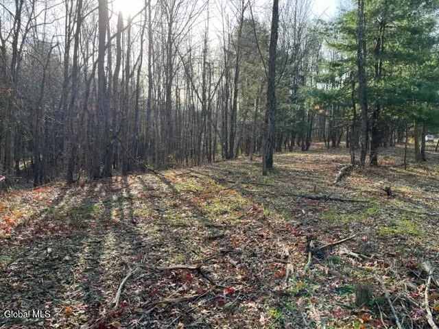 $89,900 | L10 County Route 51, West Coxsackie, NY 12192