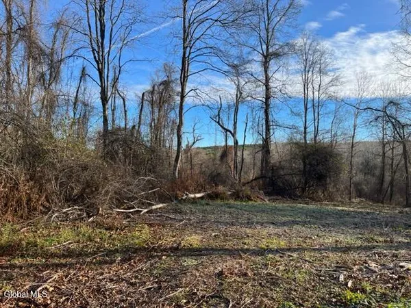 $84,900 | L10 County Route 51, West Coxsackie, NY 12192
