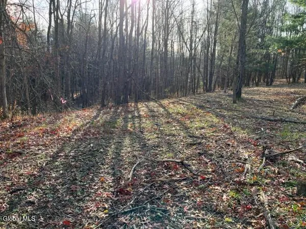 $84,900 | L10 County Route 51, West Coxsackie, NY 12192