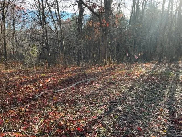 $89,900 | L10 County Route 51, West Coxsackie, NY 12192