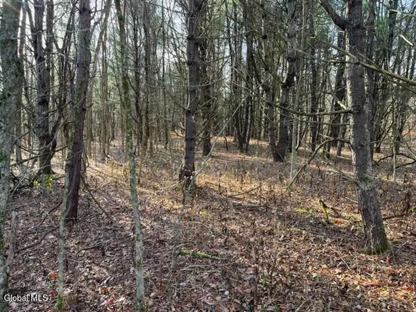 $84,900 | L10 County Route 51, West Coxsackie, NY 12192