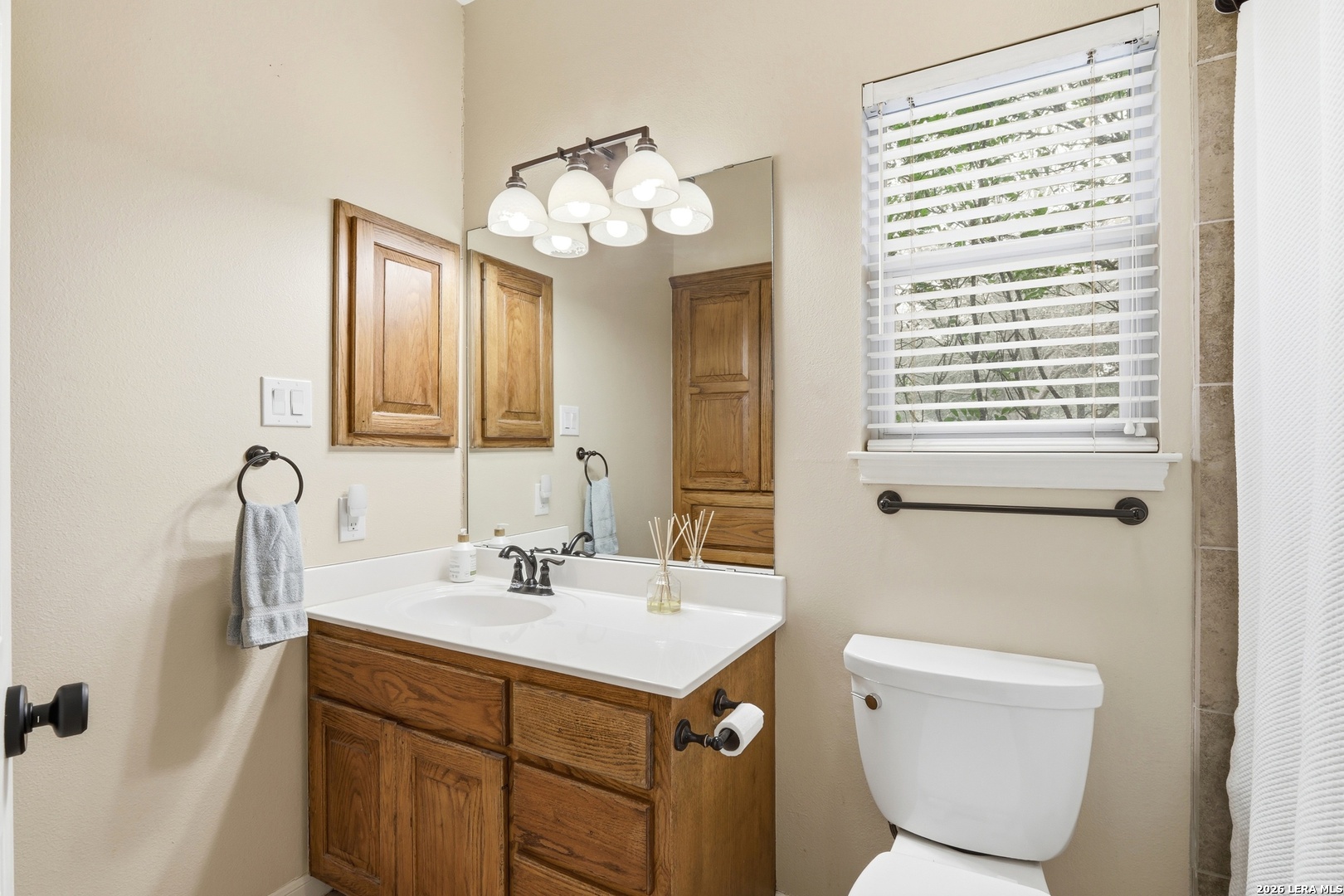 7380 Rolling Acres Trail Fair Oaks Ranch, TX 78015 - Photo 32 of 49