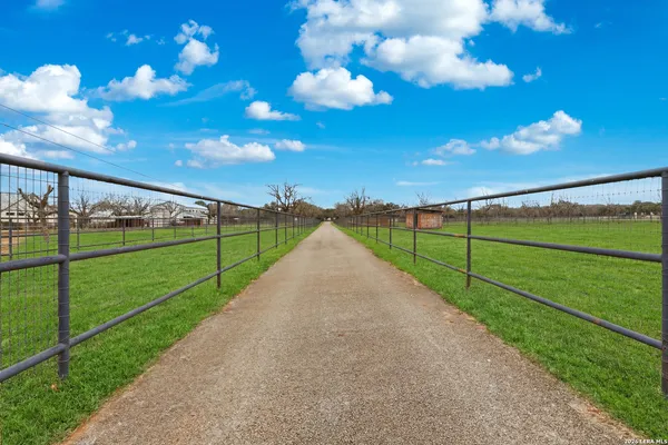 a view of a pathway with a yard