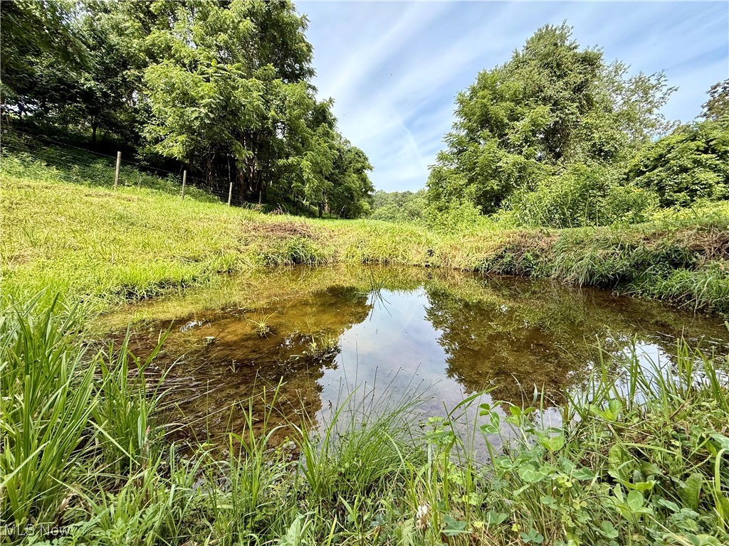 870 Newells Run Road Newport, OH 45768 - Photo 5 of 42 Small Pond on property