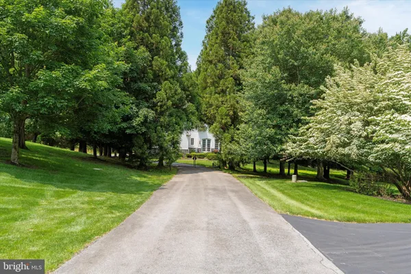 a view of a park with large trees