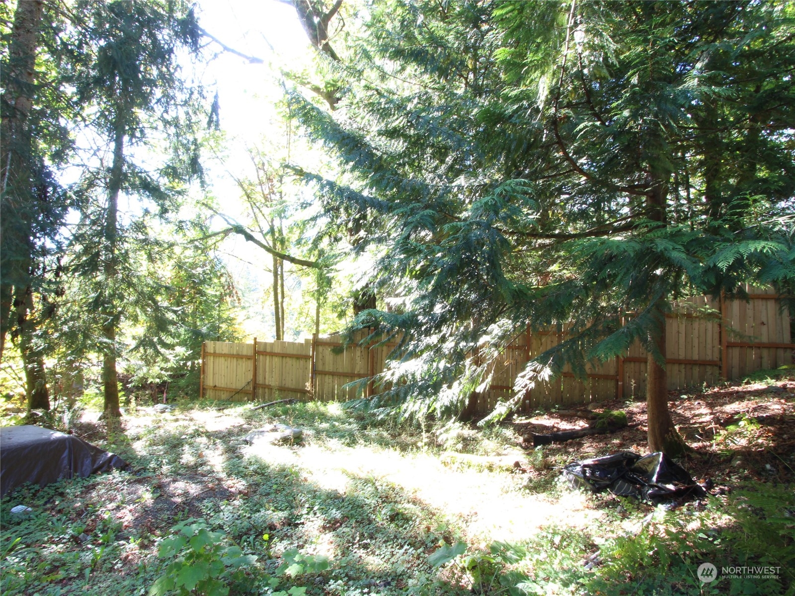 6426 Santa Fe Trail Maple Falls, WA 98266 - Photo 4 of 15 a view of a tree with a yard