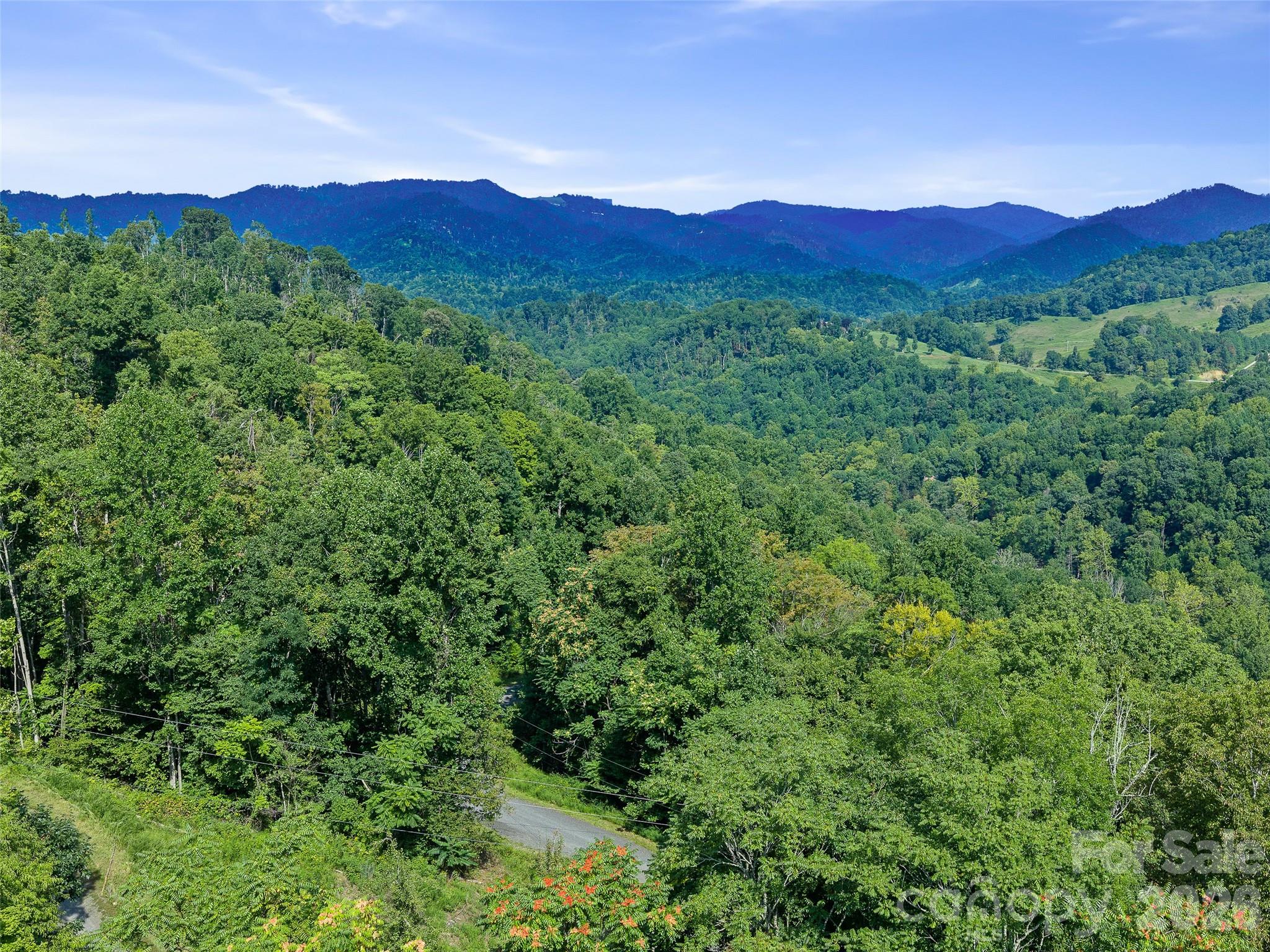 Lot #63-65 Lot#63-65 Bear Ridge Road Bakersville, NC 28705 - Photo 3 of 38 Gallery Image 3