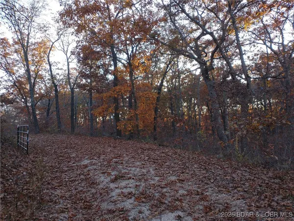 $49,900 | 5.1-acre Lot On 5.1-acre Road, Camdenton, MO 65020