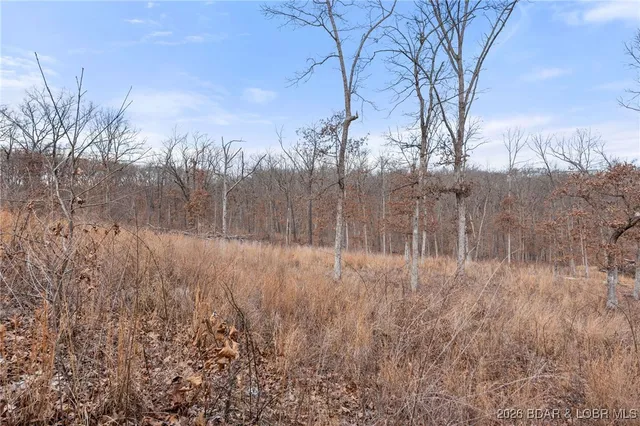 $57,900 | 5.1-acre Lot On 5.1-acre Road, Camdenton, MO 65020